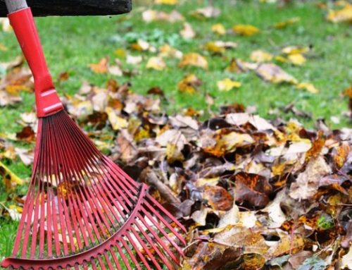 BLOG: Kako odabrati puhač za lišće?